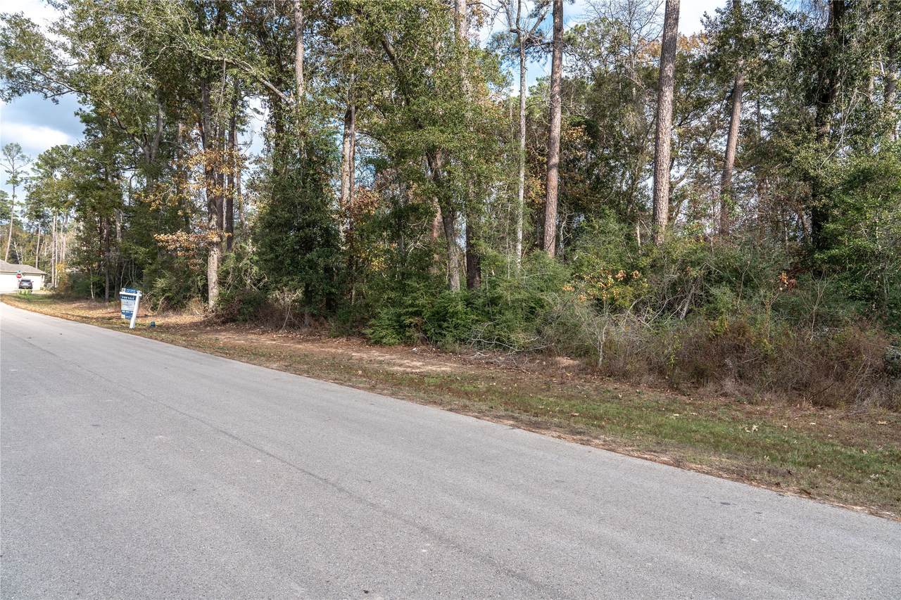 3010 Parthenon Place - Photo 1