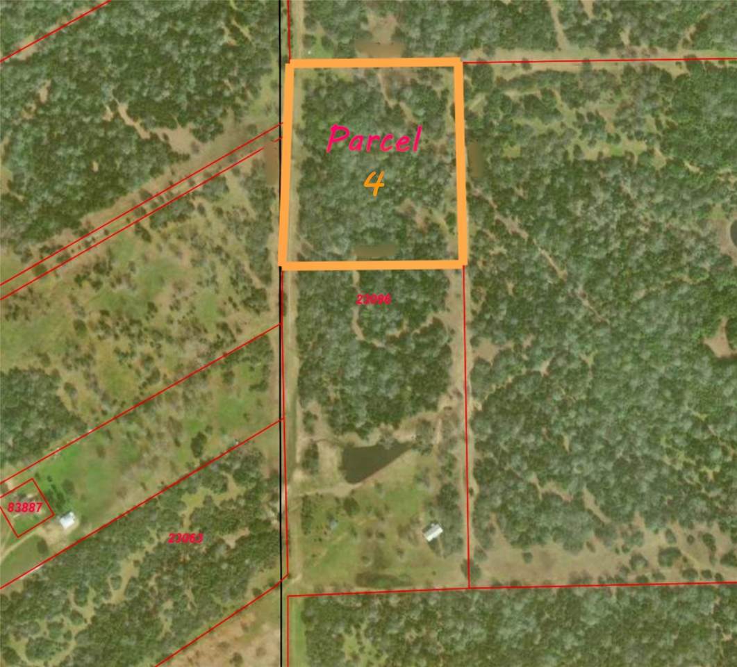 Parcel 4 Lobo Lane - Photo 1
