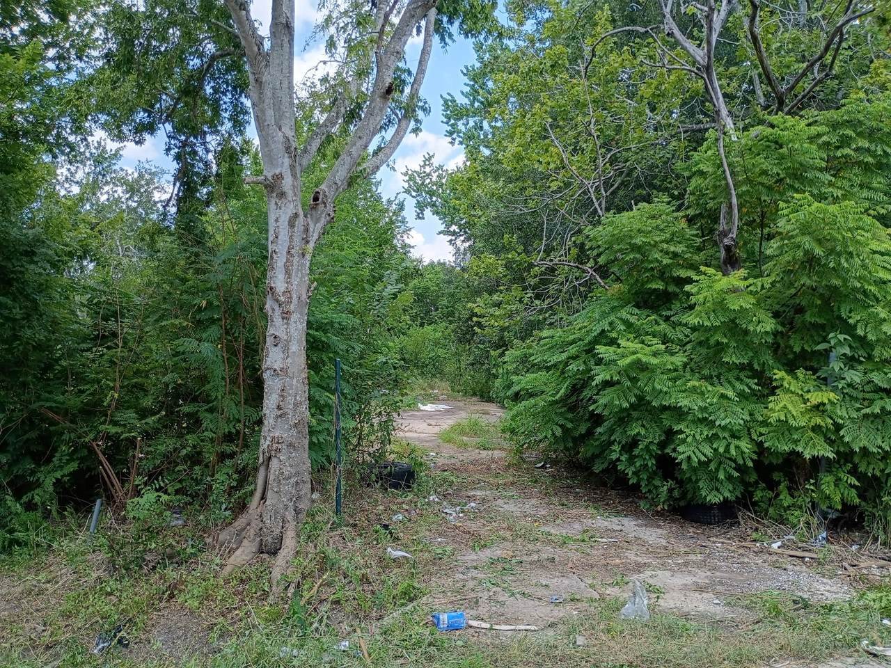 6418 Saint Augustine Street - Photo 1