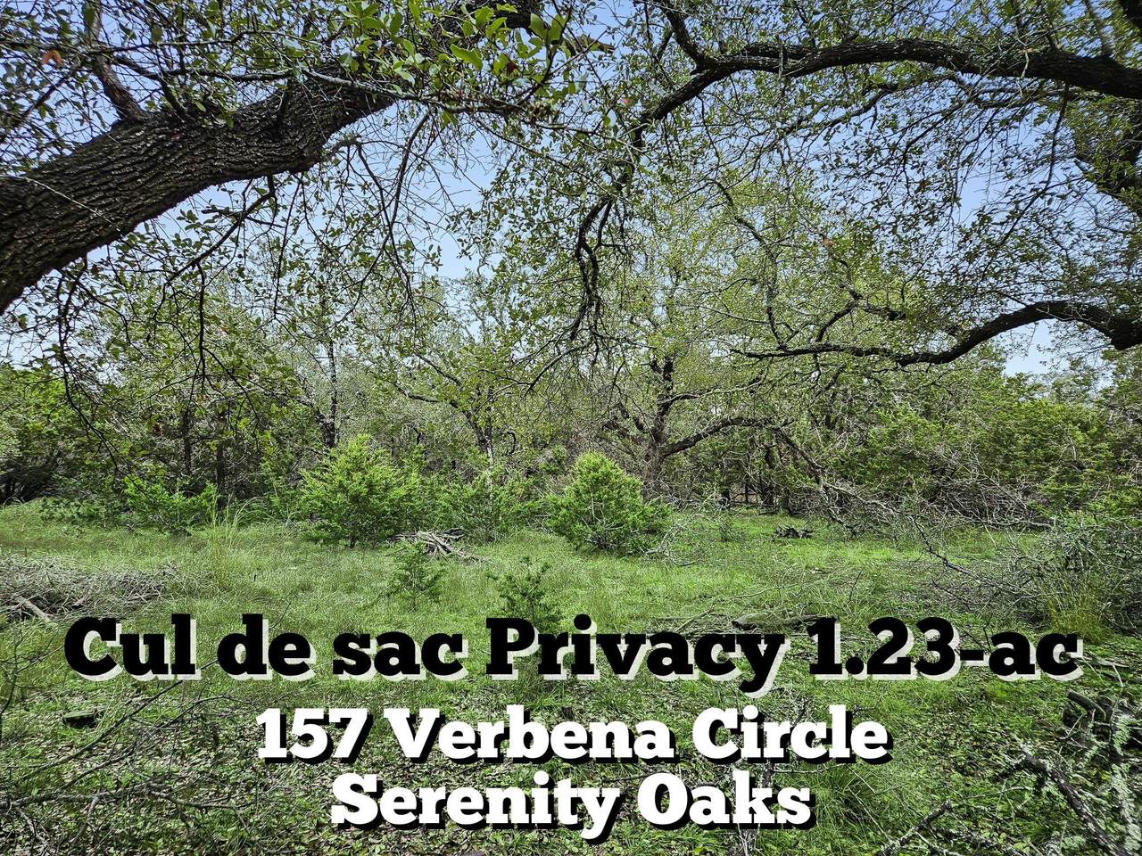 157 Verbena Circle - Photo 1