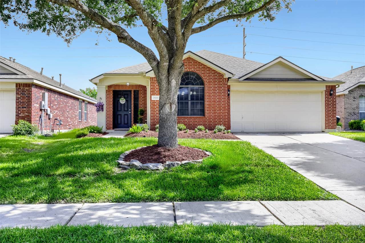 7819 Summerdale Drive - Photo 1