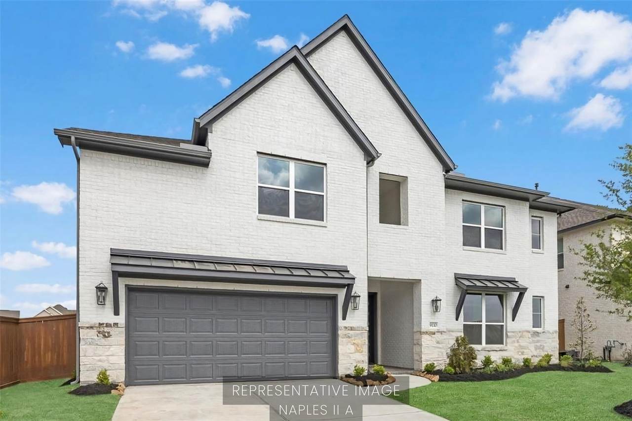 16227 Blue Mistflower Lane - Photo 1