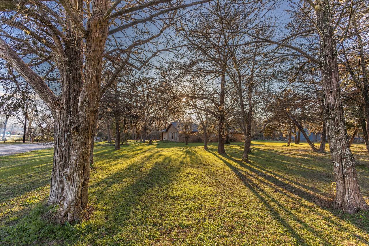 125 Forrest Lane - Photo 1