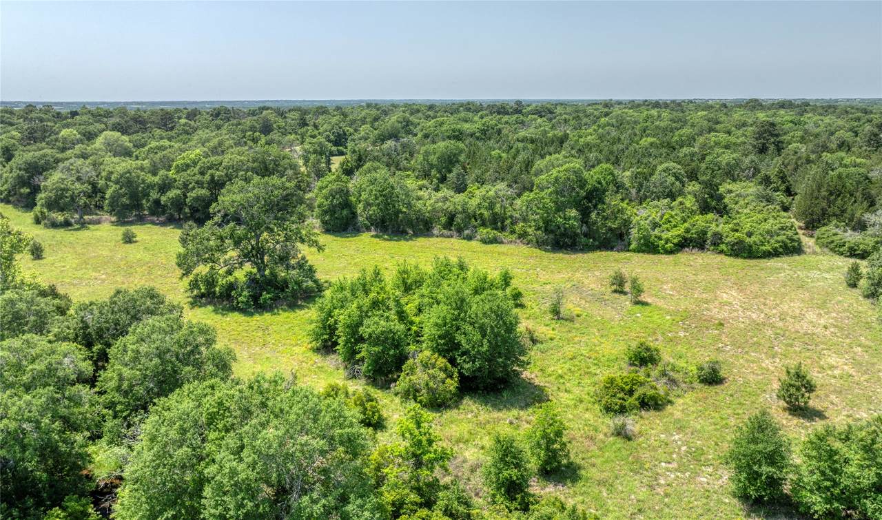 299 Bellwood Lake Lane - Photo 1