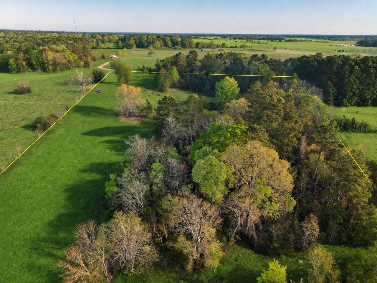 TBD Denson Allen Road - Photo 1