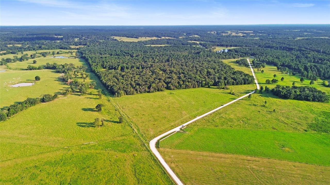 1087 Buckhorn Creek Drive - Photo 1