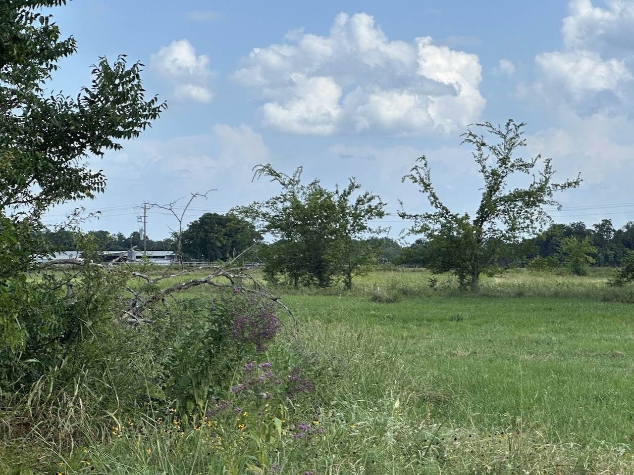 0 Lot 55 Red Fox Circle - Photo 1