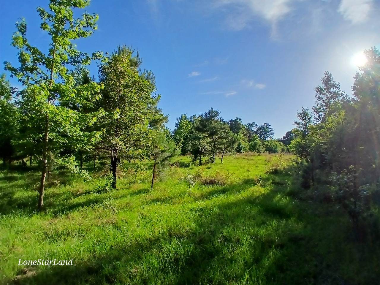 475 County Road 4421 - Photo 1