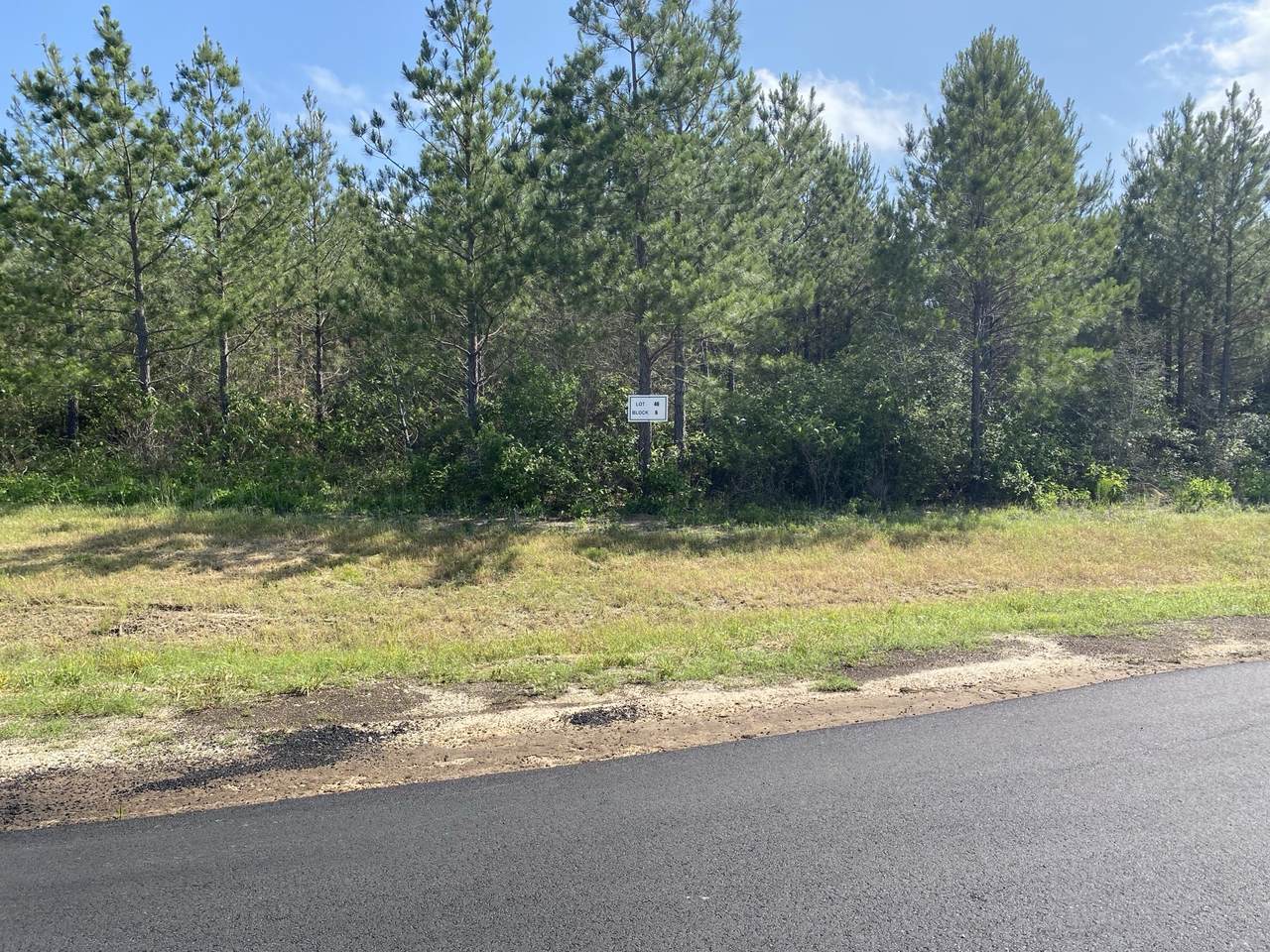 11873 Moss Grove Court - Photo 1