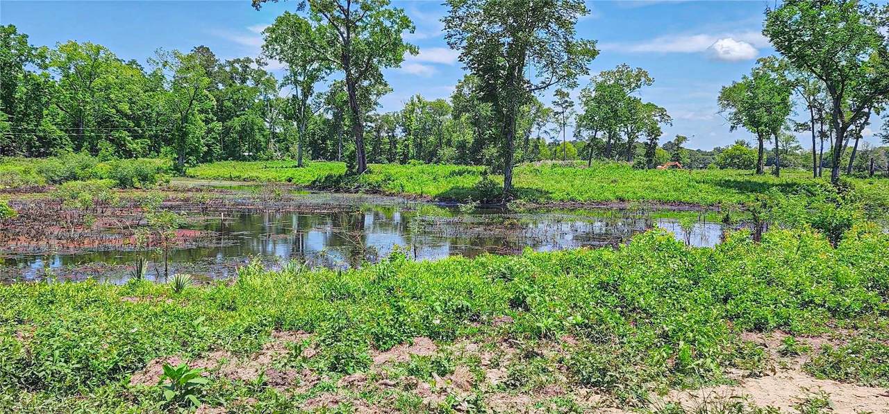 000 Tinney Road - Photo 1