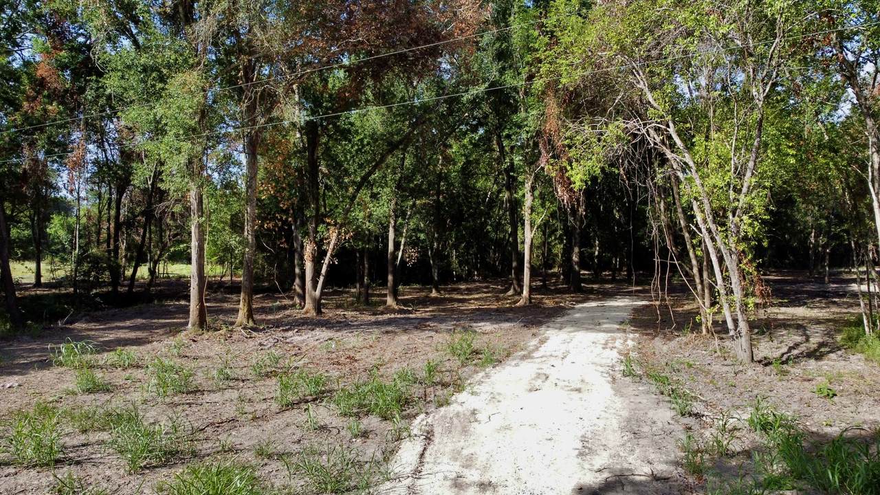 13 +/- Acres Greenbriar Road - Photo 1