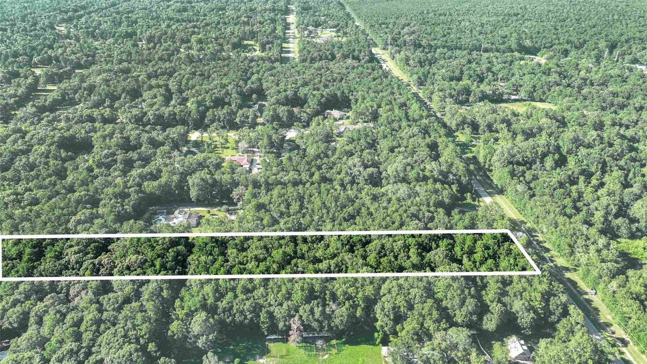 29819 Huffman Cleveland Road - Photo 1