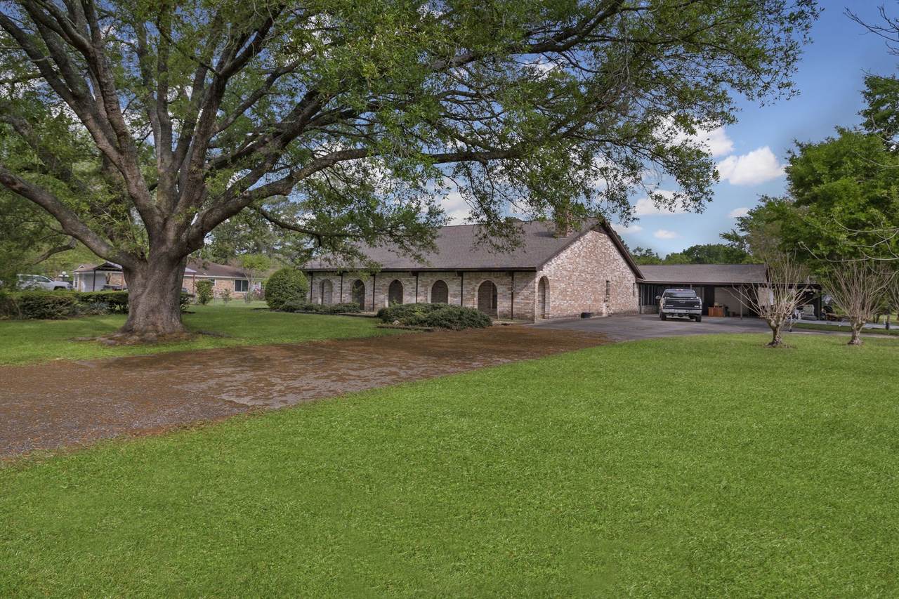 5534 Avanak Street - Photo 1