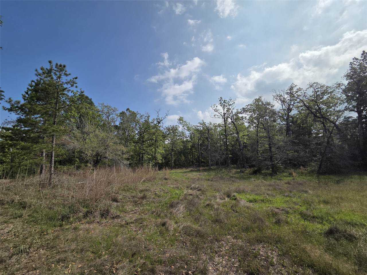 2.58 Acres Oakdale Drive - Photo 1