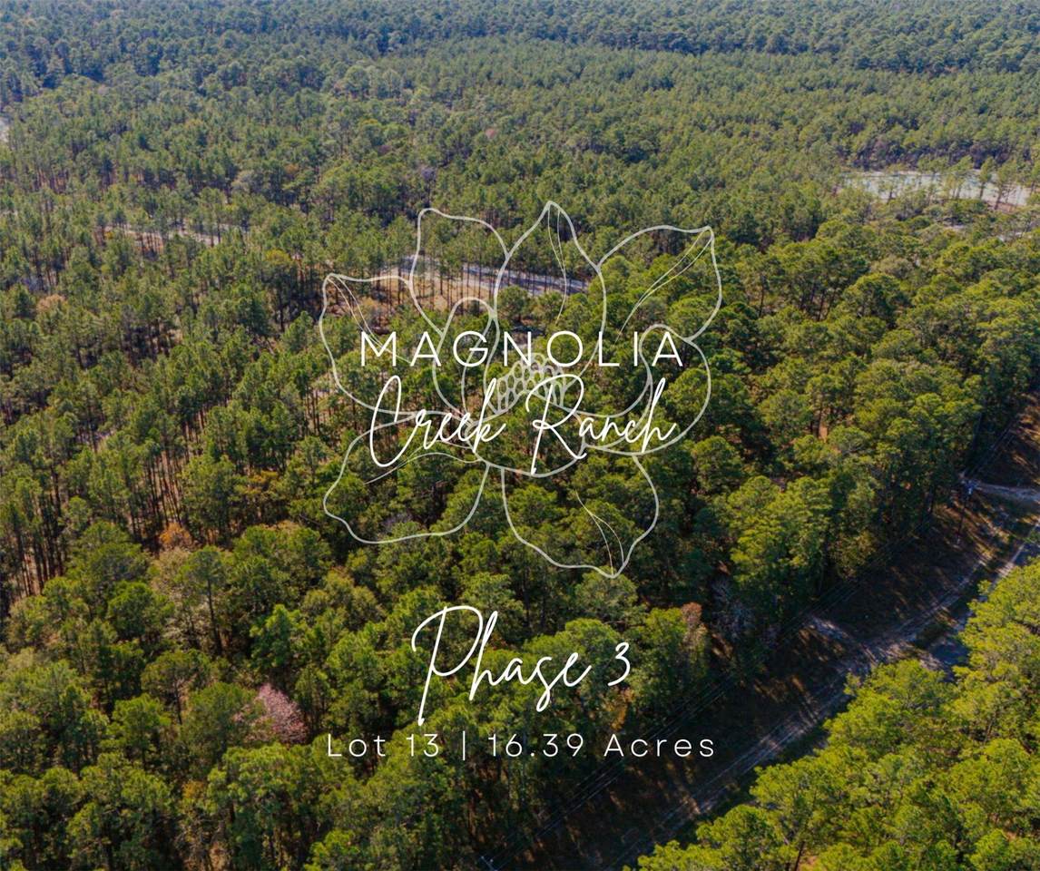 0313 King Ranch Road South - Photo 1