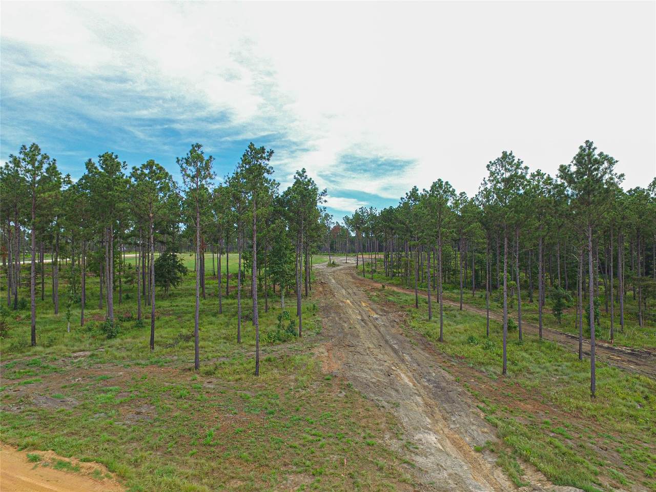 006 Nelson Dr - Photo 1