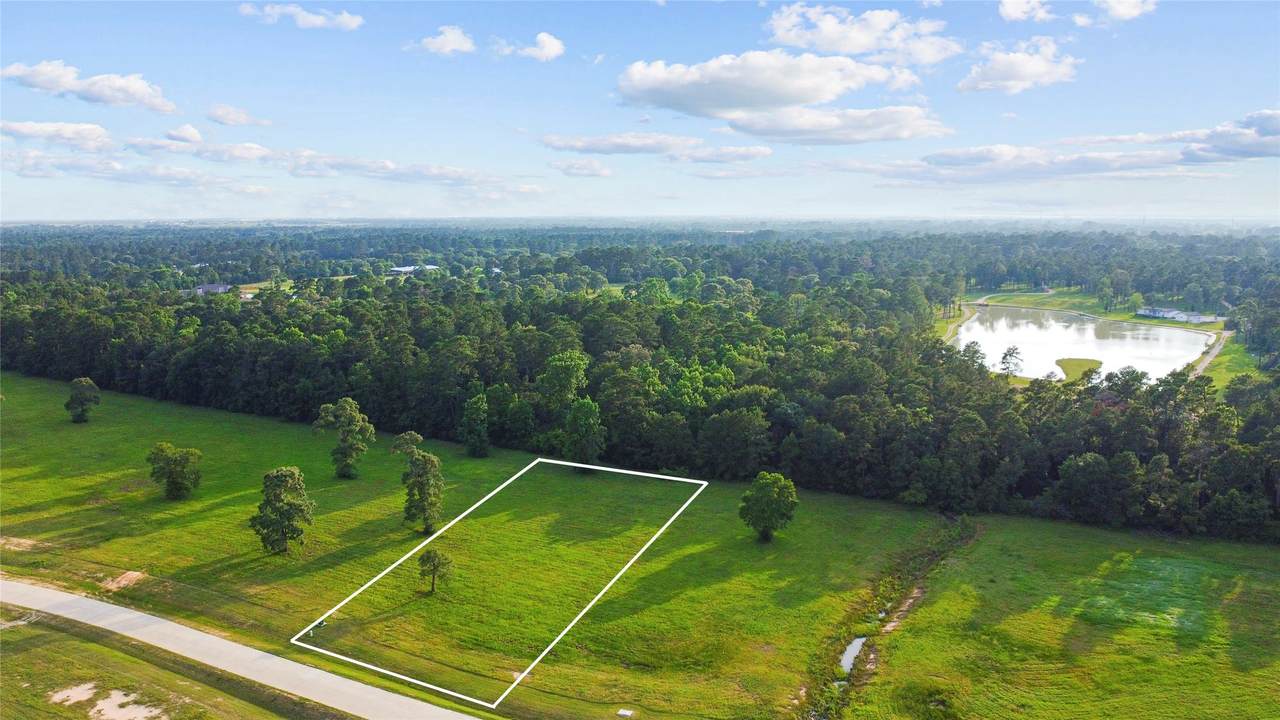 2044 Stallion Lakes Avenue - Photo 1