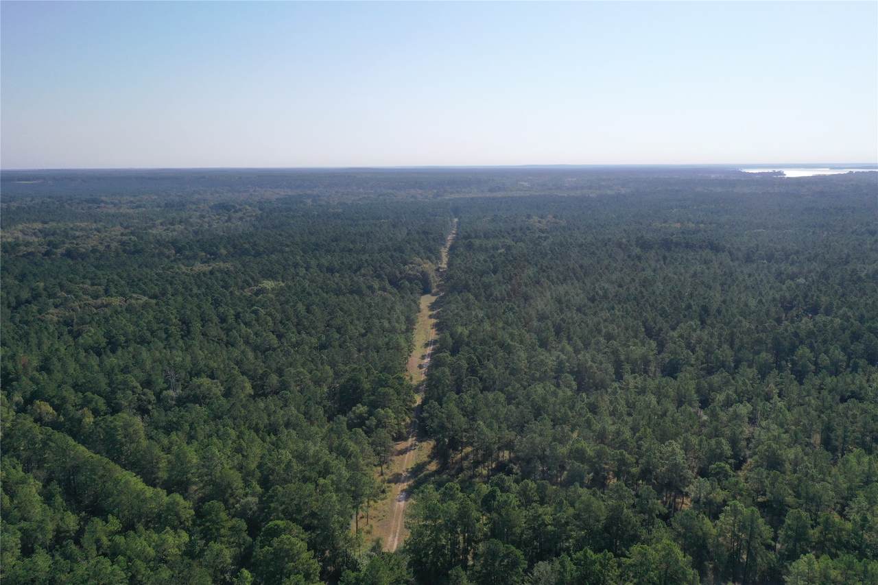 Tract 3 Trinity Lady Park Road - Photo 1