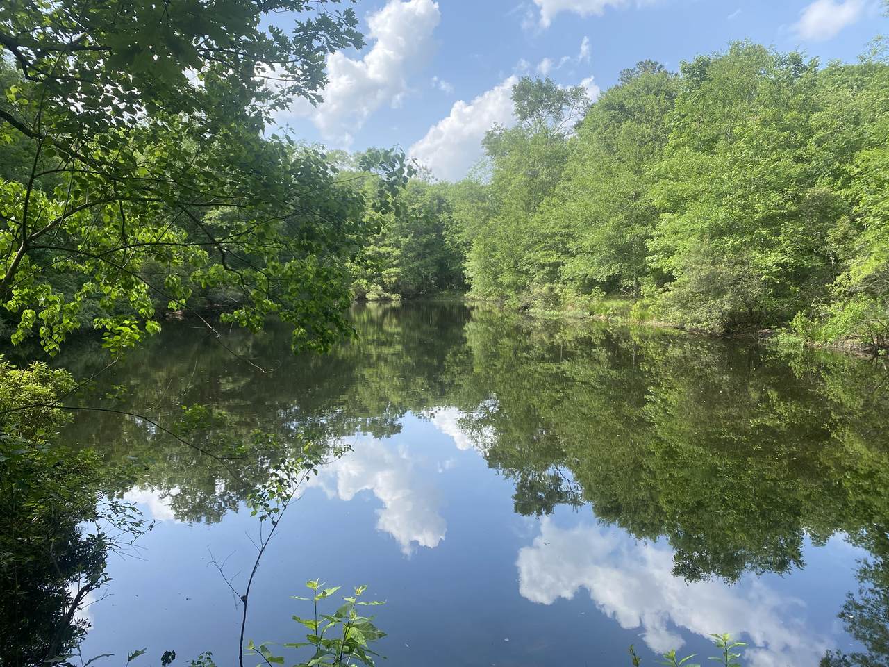 TBD Drivers Road - Photo 1