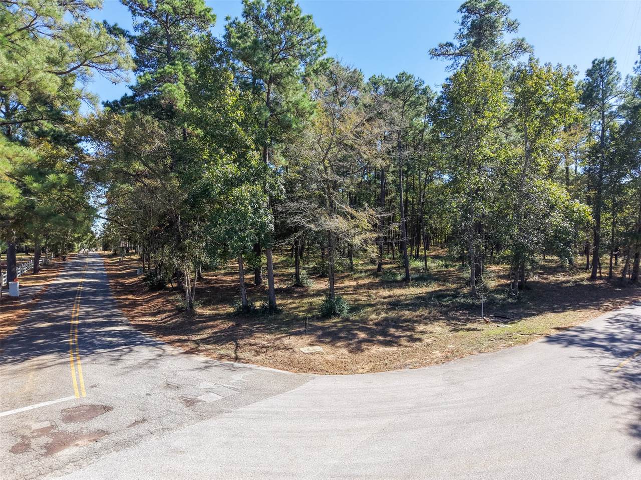 0 Little Egypt Road - Photo 1