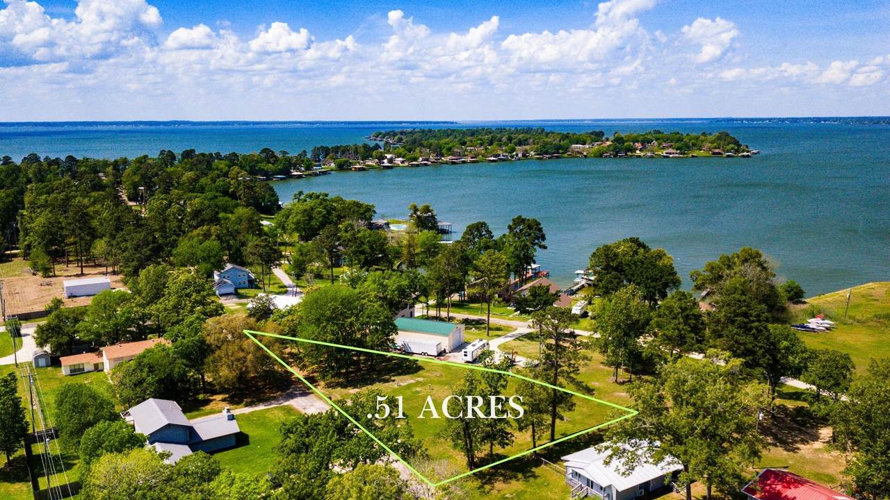 242 Palmetto Drive - Photo 1