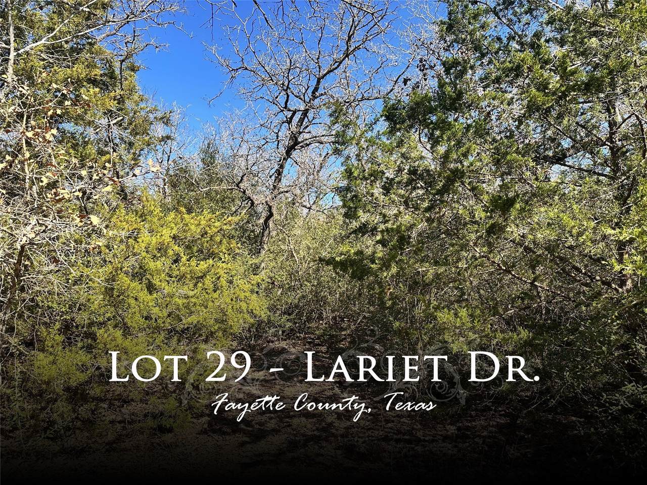 0 Lariet Drive - Photo 1