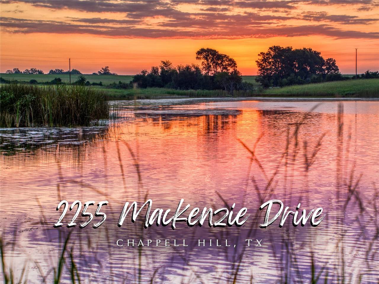 2255 Mackenzie - Photo 1