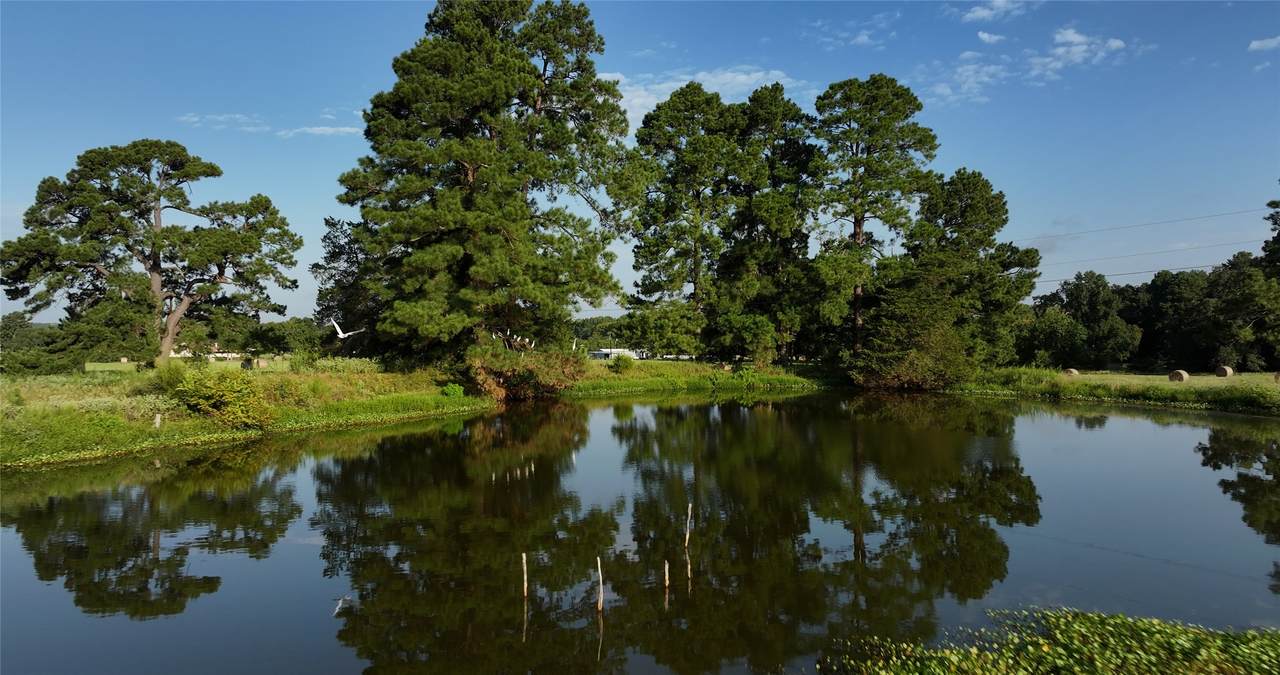https://bt-photos.global.ssl.fastly.net/harmls/1280_boomver_3_76620078-2.jpg