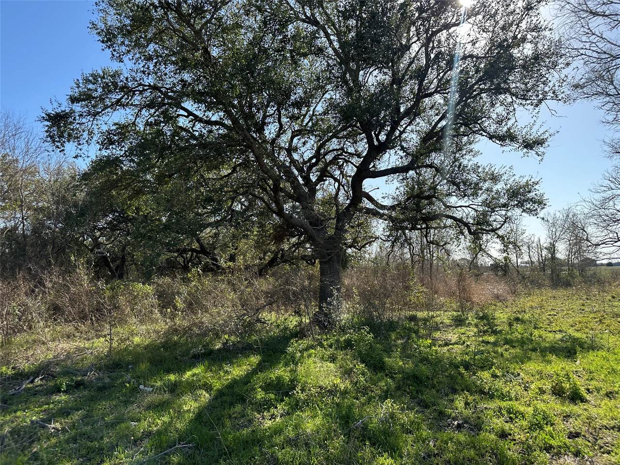 1E - 5E County Road 206 Drive - Photo 1