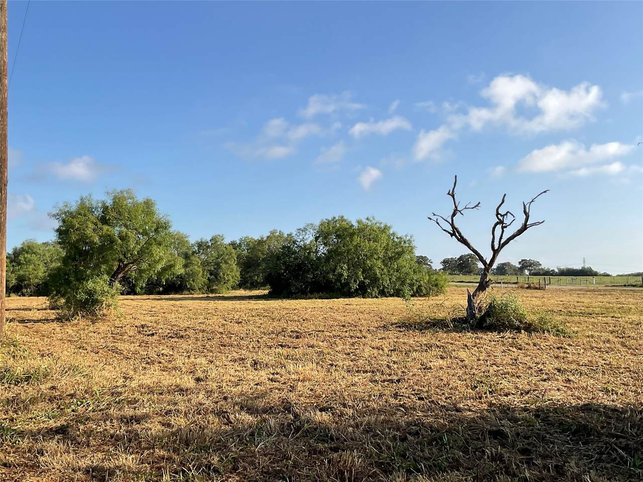 1932 Old Goliad Road - Photo 1