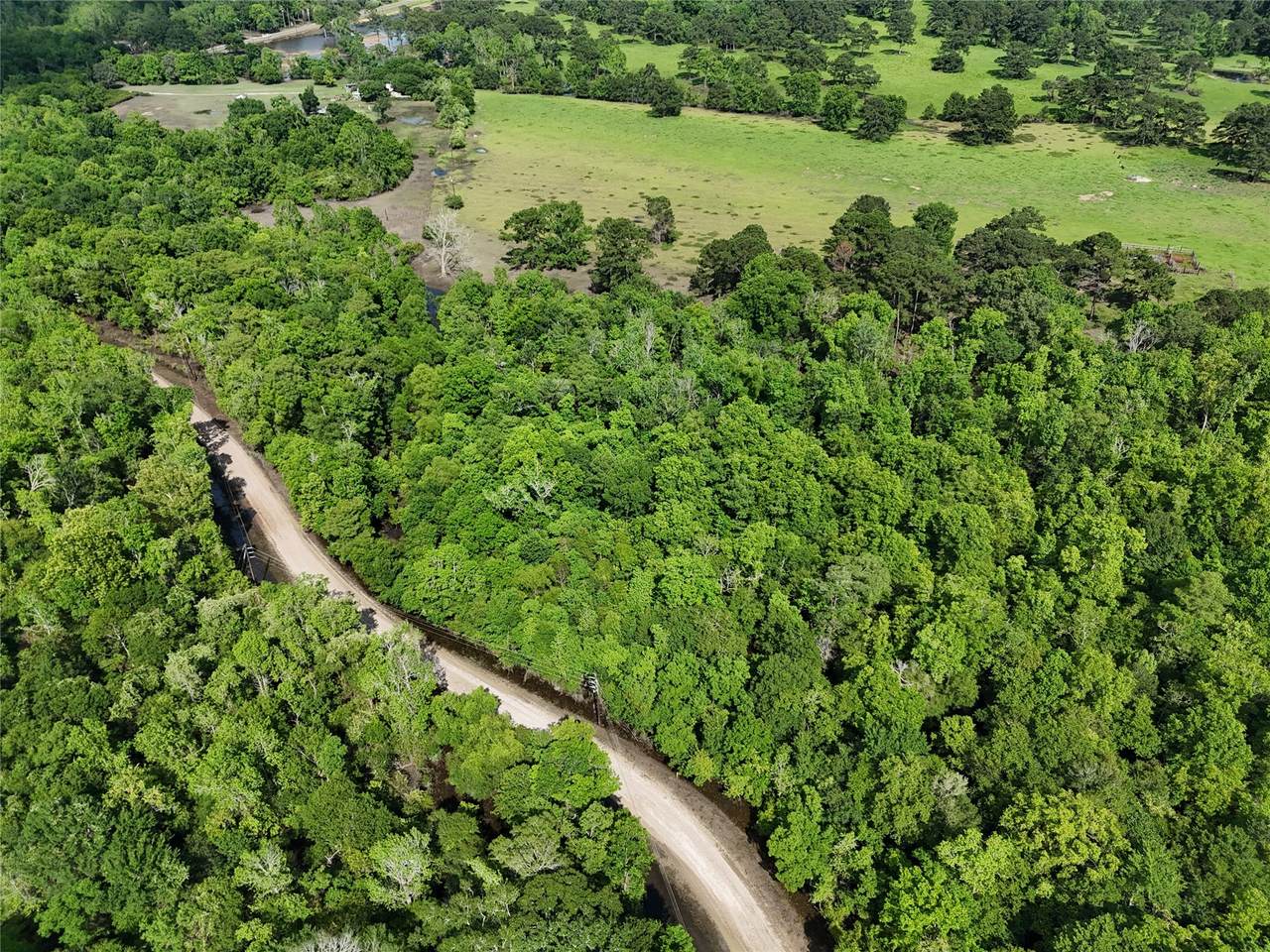 TBD County Road 149 - Photo 1