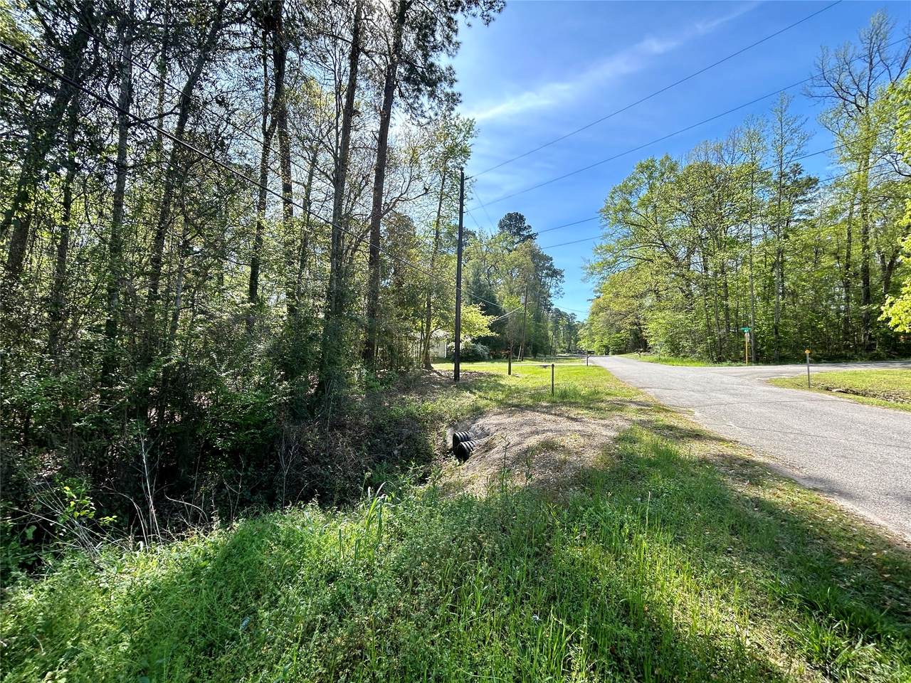 LOT 77-A Royal Lake Drive - Photo 1