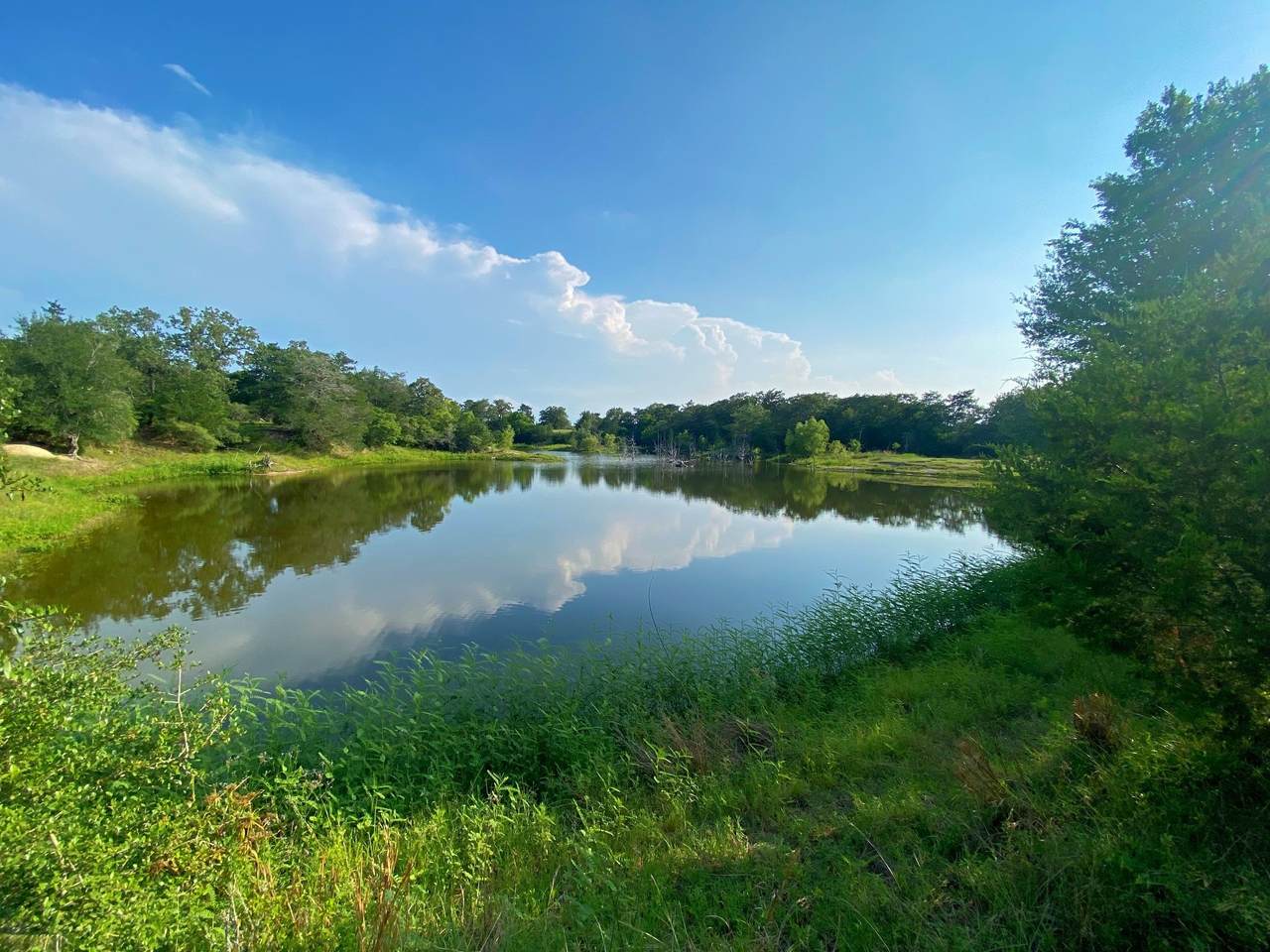 7800 Farm To Market 1948 Road - Photo 1