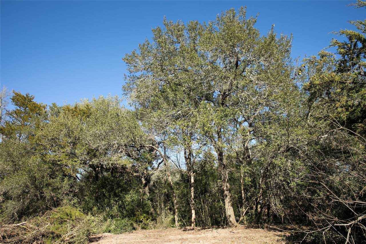 TBD Fm 594 - Photo 1