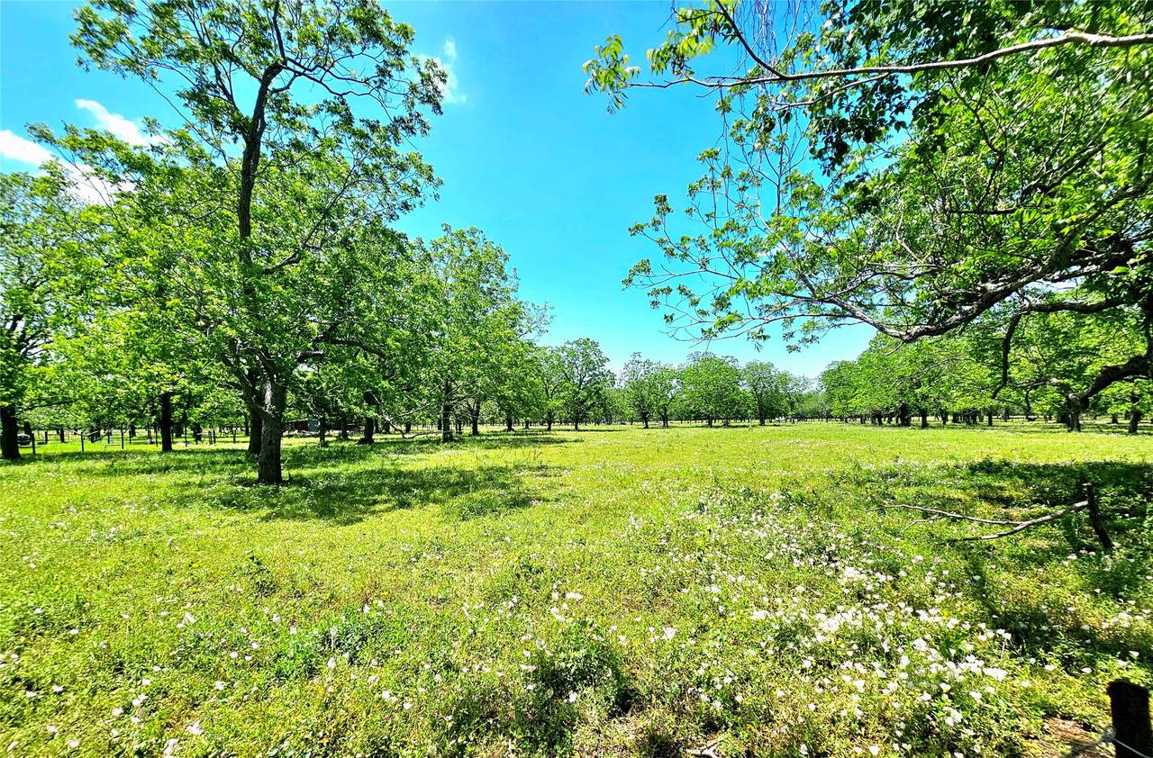 0 Cr 153 - Photo 1