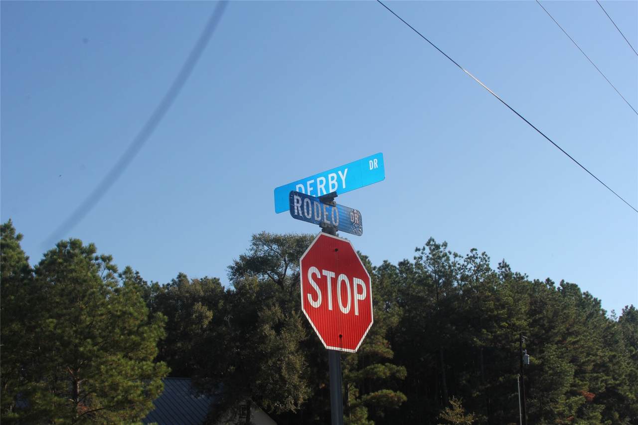 17722 Derby Drive - Photo 1