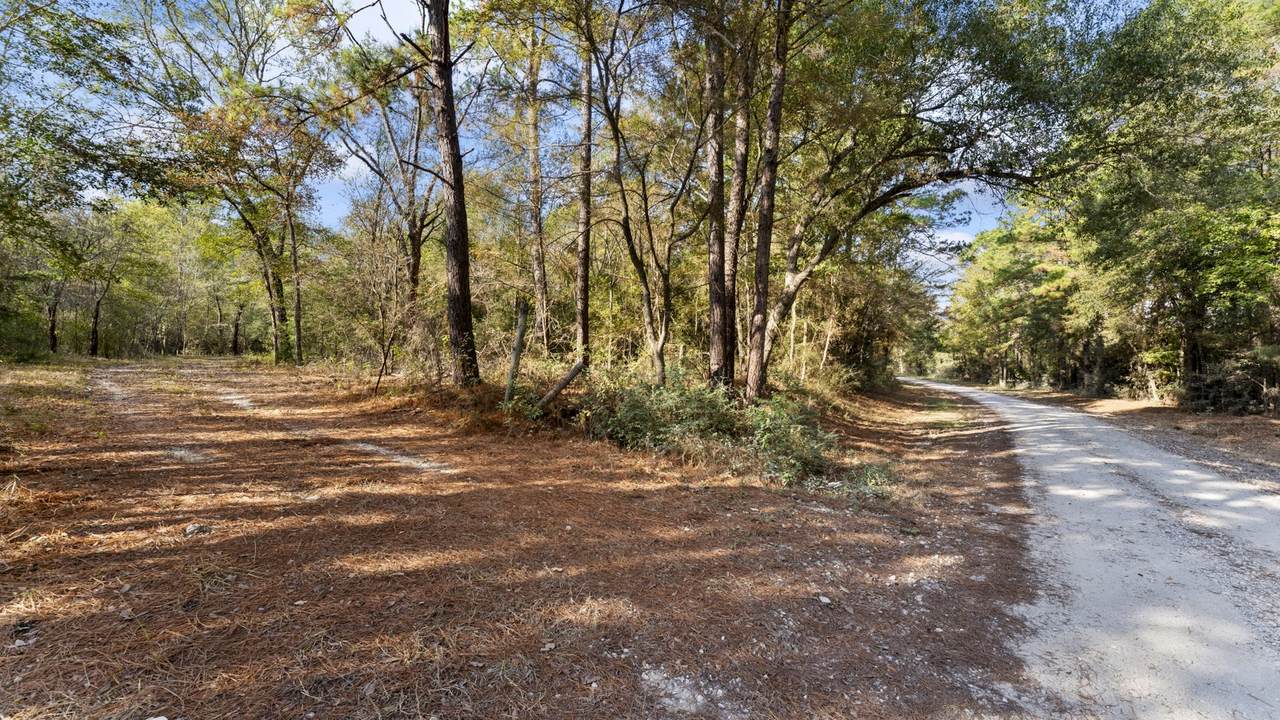 585 Bishop Road - Photo 1