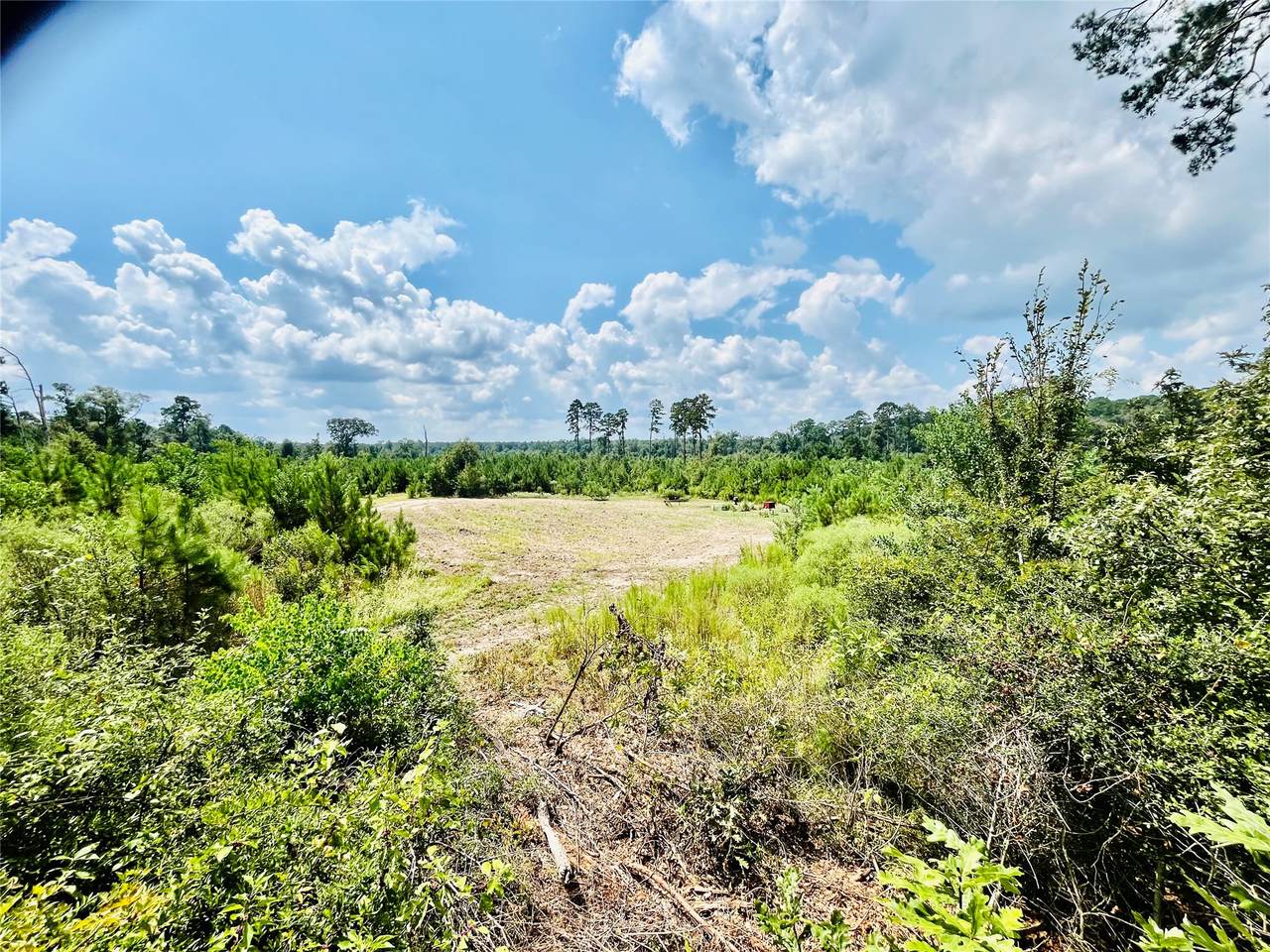 0 Nine Bridge Road - Photo 1