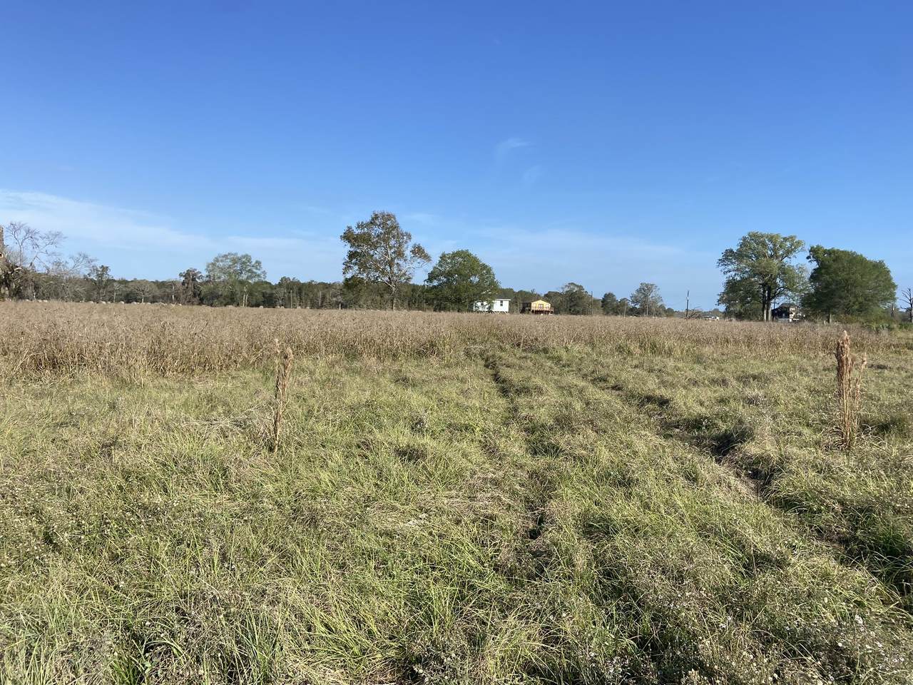 TBD Cypress Lakes Cir - Photo 1