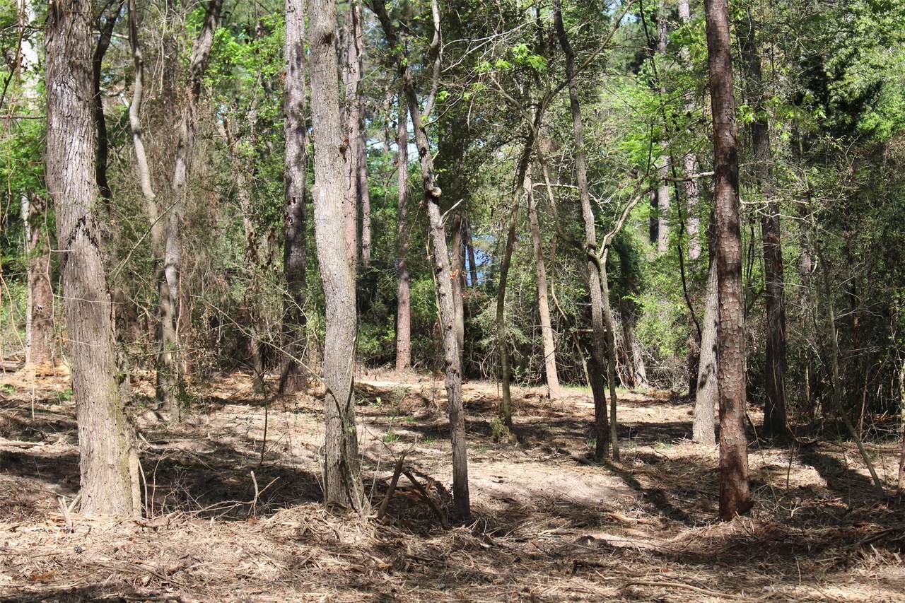 145 Crossed Arrows - Photo 1
