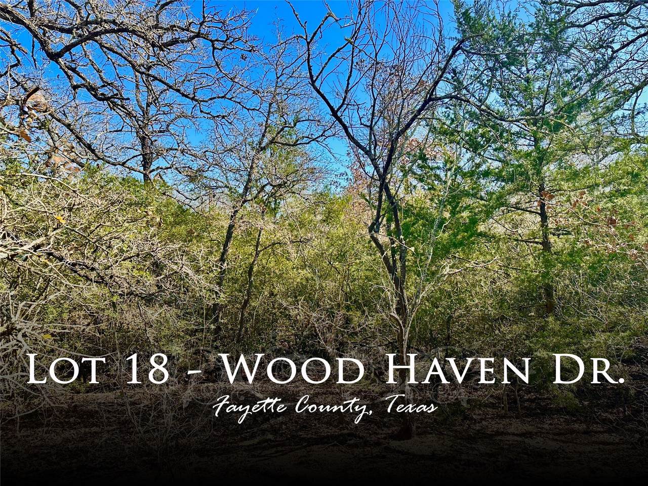 0 Wood Haven Drive - Photo 1
