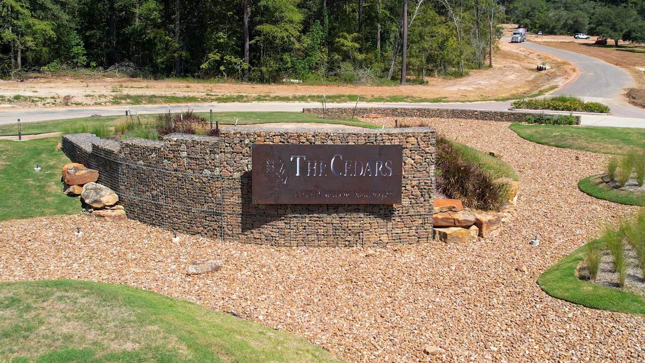 9502 Old Cedars Drive - Photo 1