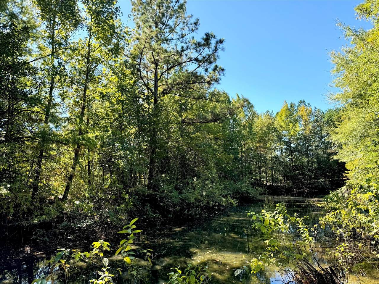 9596 State Highway 146 - Photo 1