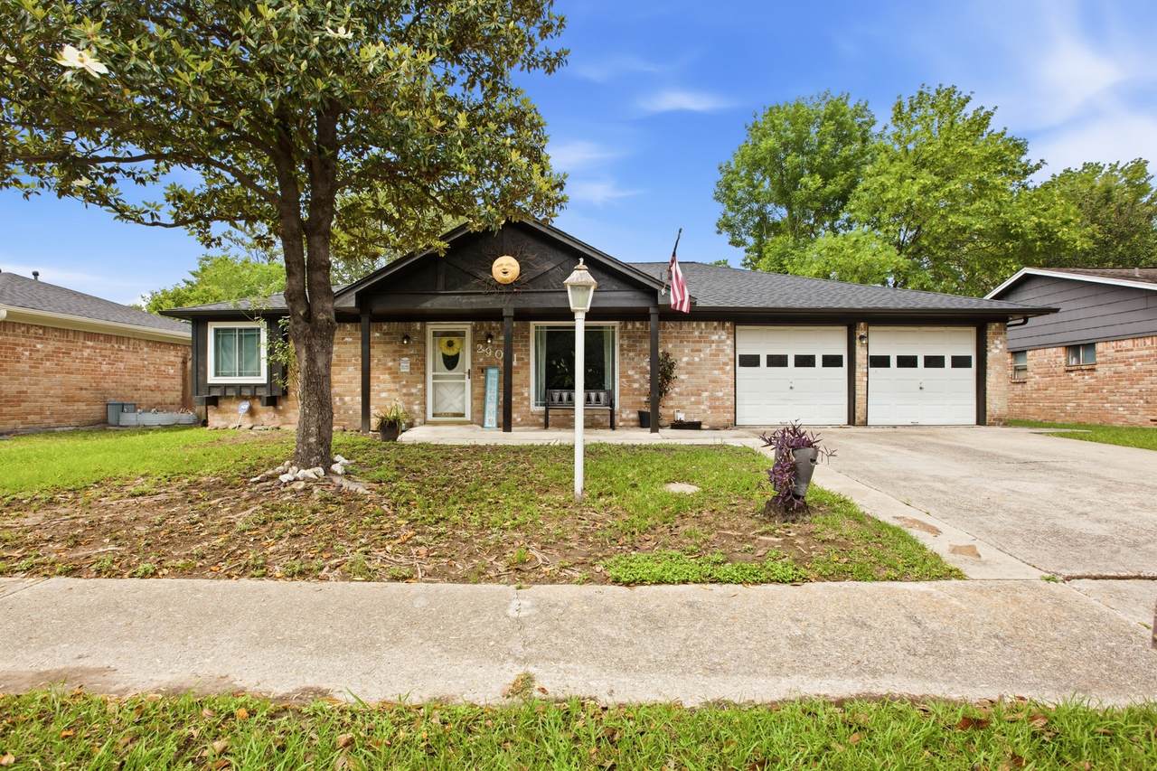 29011 Binefield Street - Photo 1