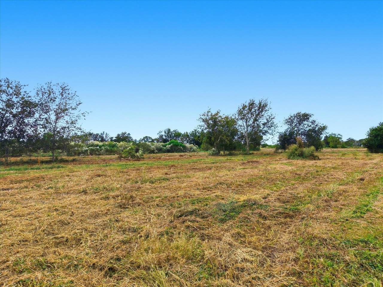 Lot 5 Cow Creek Road - Photo 1