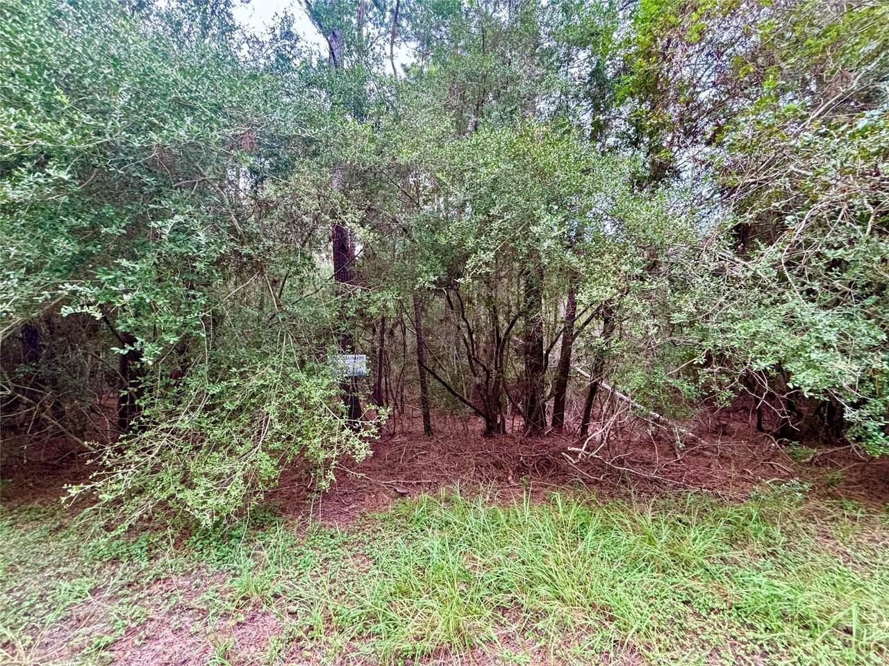 TBD Parkview Drive - Photo 1