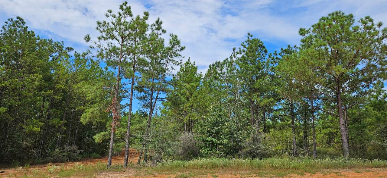 16029 Ridge Oak Road - Photo 1