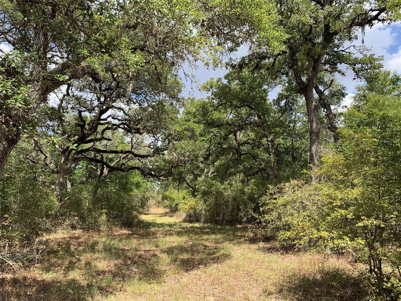 TBD Private Road 1581 - Photo 1