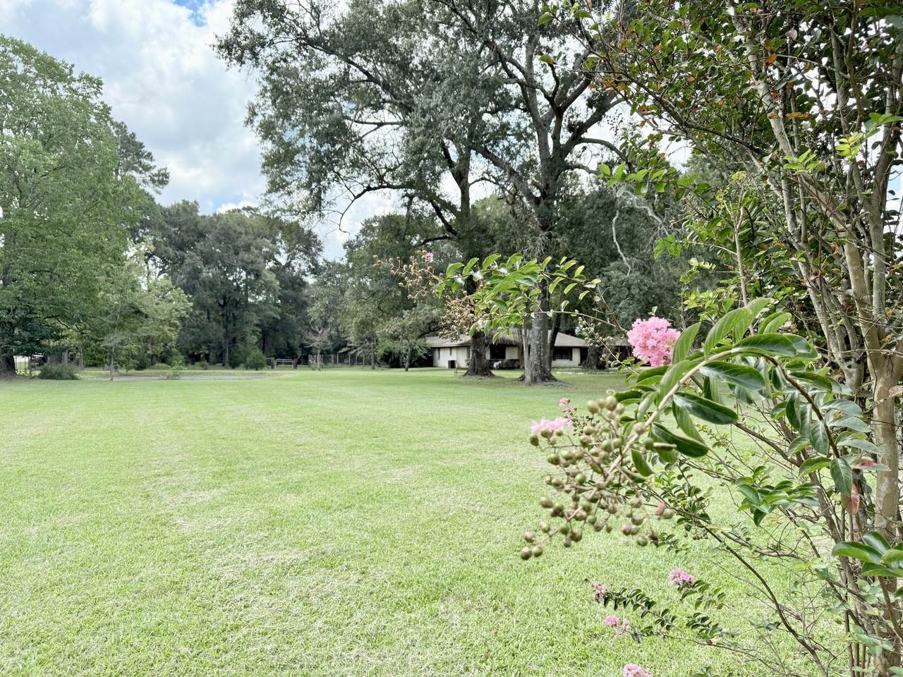 26422 Hardin Store Road - Photo 1