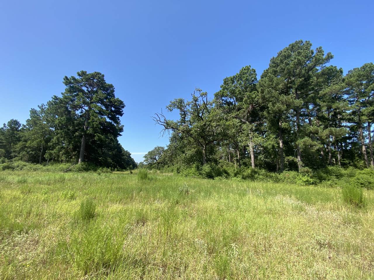 Lot 8 County Road 114 - Photo 1